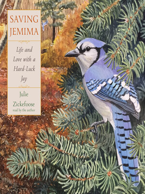 cover image of Saving Jemima